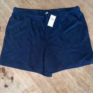 J. Jill Fit Blue Shorts szL